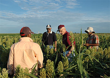 Farm Picture
